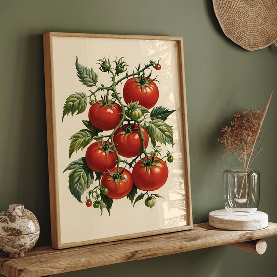 Tomatoes Poster Tomato Wall Art Kitchen Poster Dining Room Decor Airbnb Decor Kitchen Wall Art Vintage Red Print Retro Tomatos Print