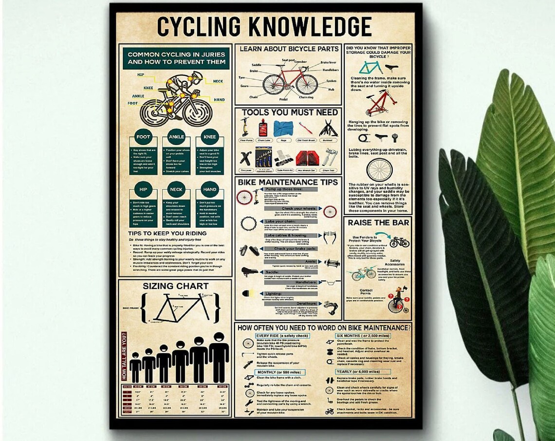 Cycling Poster Bicycle Poster Cycling Art Cycling Gifts Cycling Prints Sport Poster Educational Poster Bicycle Gifts Bicycle Art - Image 3