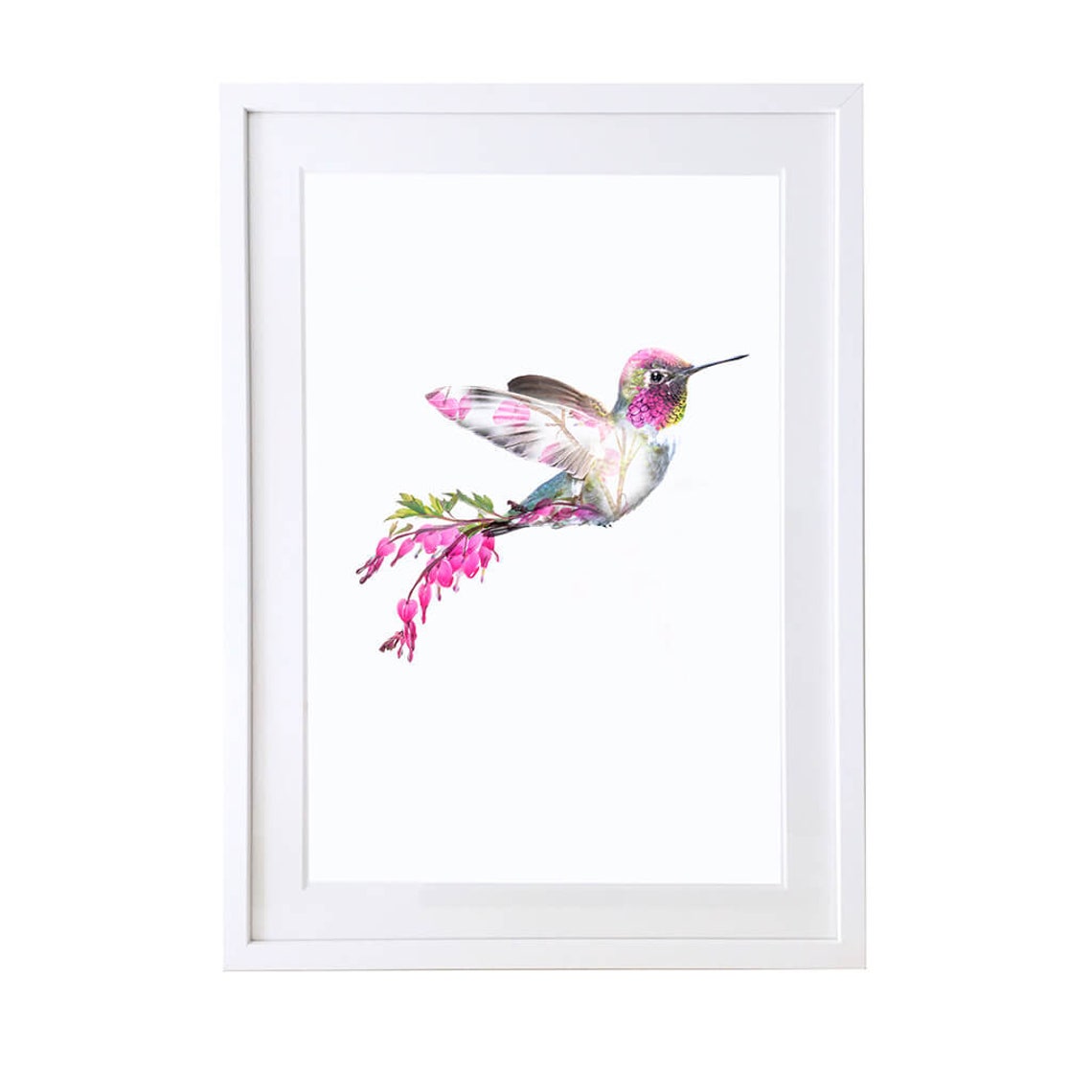 Hummingbird Animal Art Print