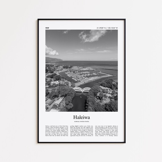 Haleiwa Hawaii Harbor Aerial Black and White Travel Photo Poster