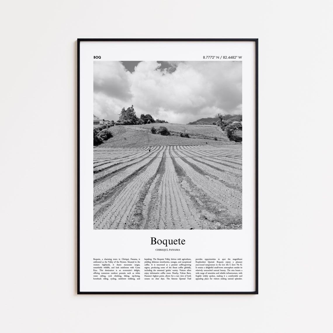 Boquete Panama Coffee Field Black and White Photography Poster