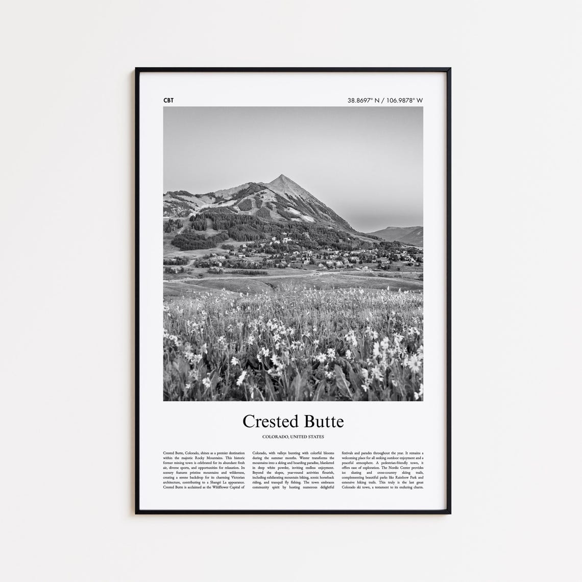 Crested Butte Colorado Black and White Mountain Meadow Photo Poster