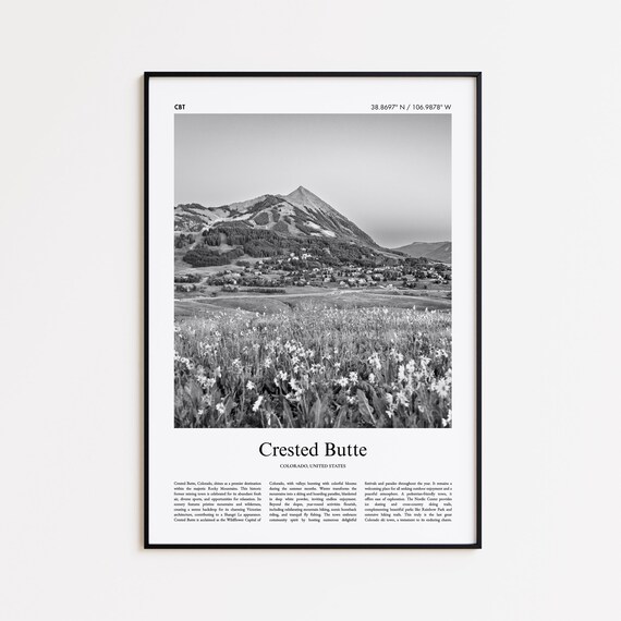 Crested Butte Colorado Black and White Mountain Meadow Photo Poster