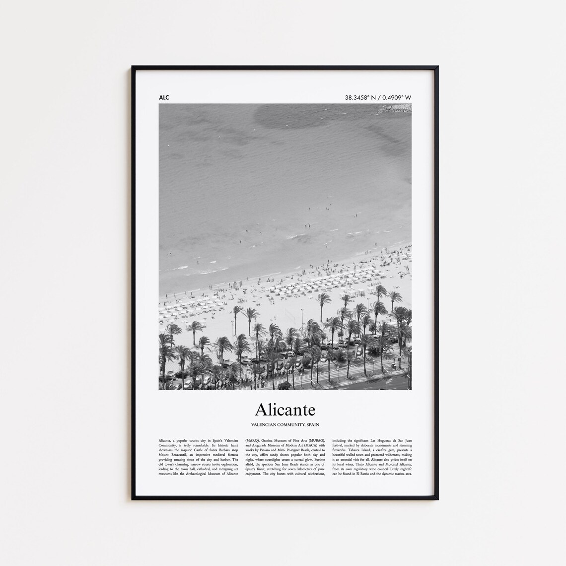 Alicante Spain Black and White Photo Travel Poster with Beach Palms