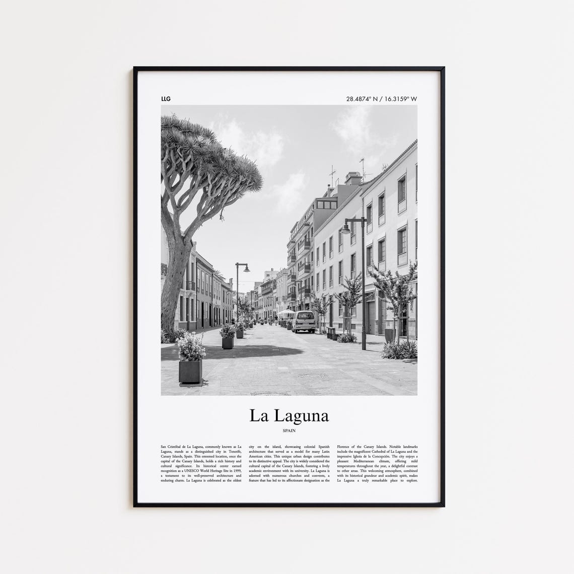 La Laguna Tenerife Dragon Tree Old Street Black White Poster