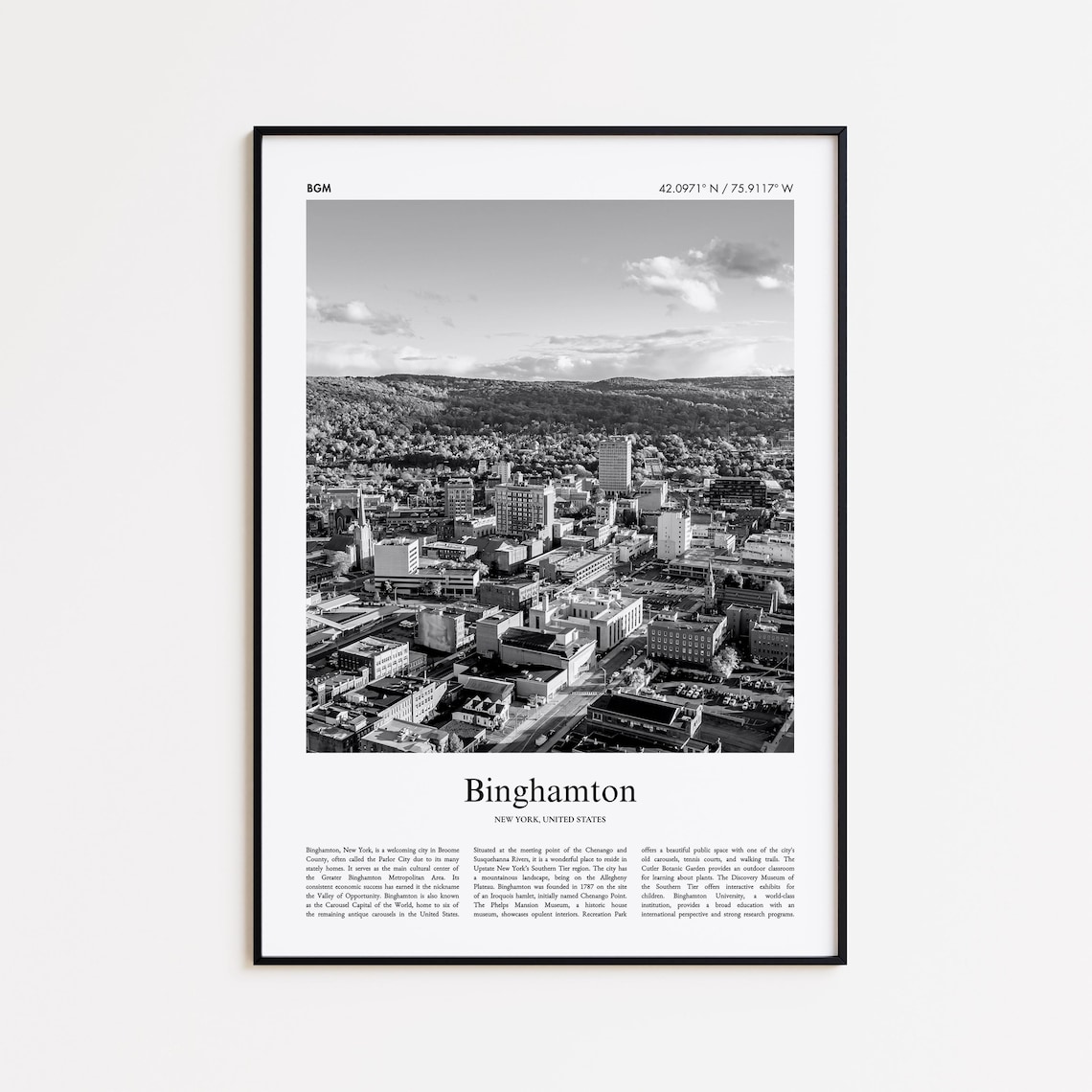 Binghamton New York Black And White Photo Poster Aerial Cityscape