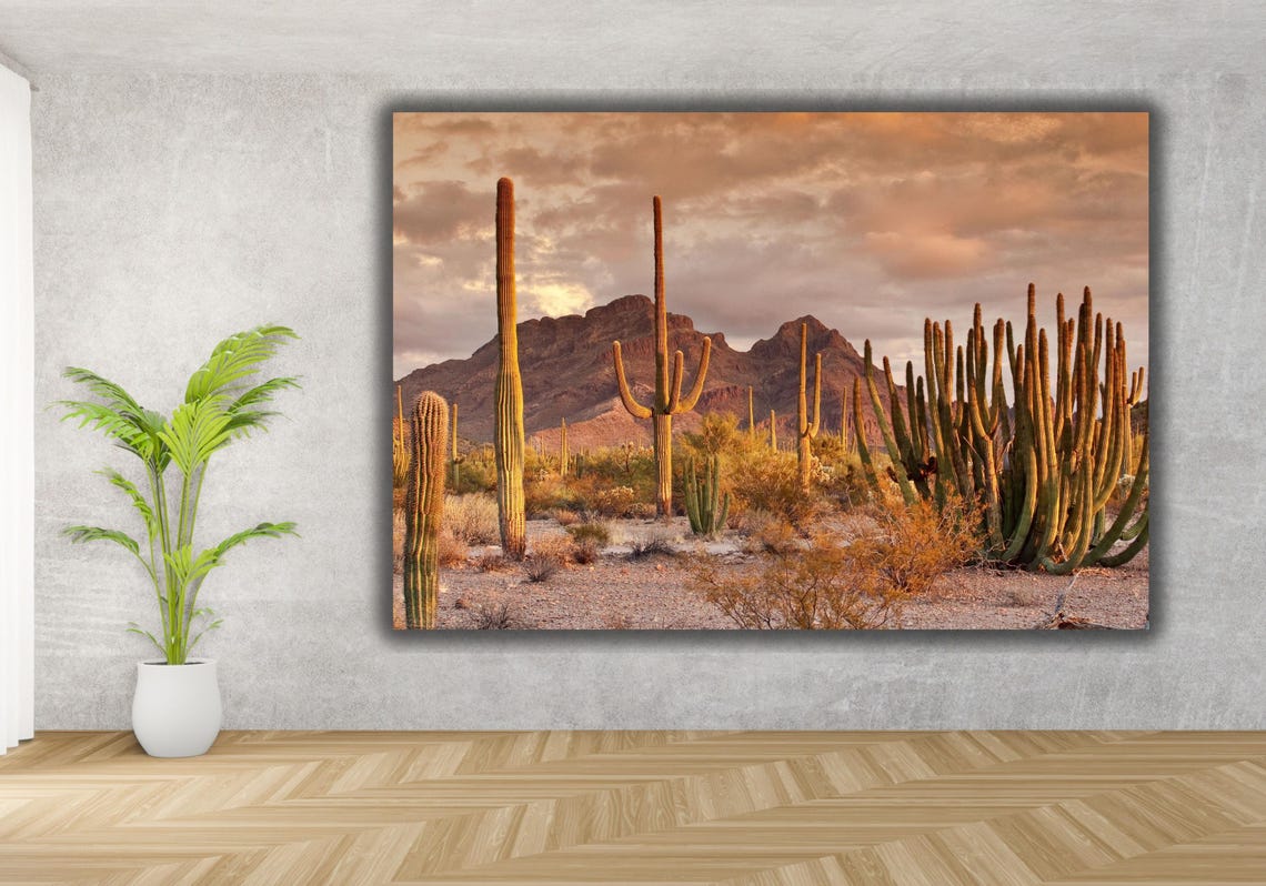 Sonoran Desert Saguaro Cactus Sunset Mountain Landscape Poster - Image 3