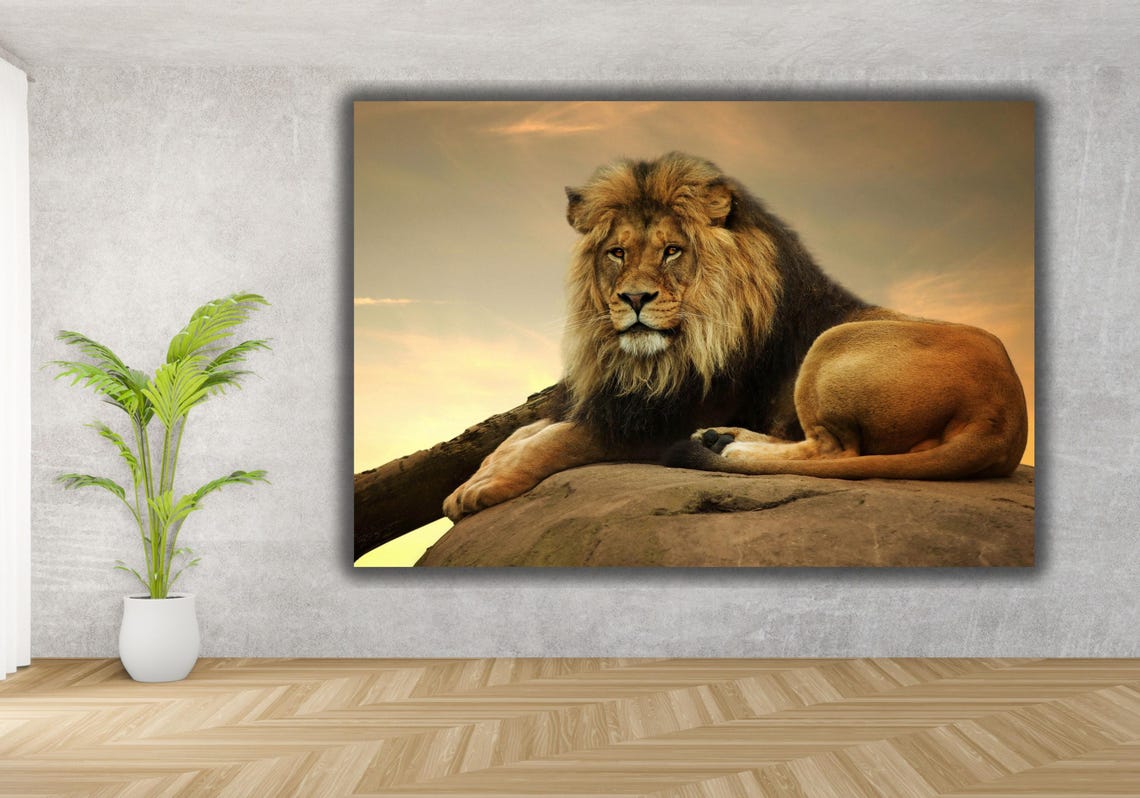 Lion Photo Poster The King Of Animals Lion Wall Art Print Wild Life Art Animal Print Animal Print Wild Life Photography - Image 3