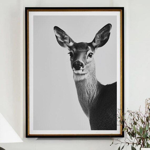 Black and White Deer Doe Portrait Gentle Wildlife Photography Poster