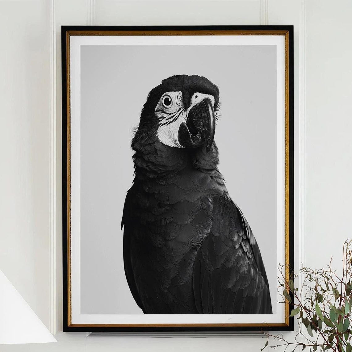 Black and White Macaw Parrot Close Up Portrait Photography Wall Art