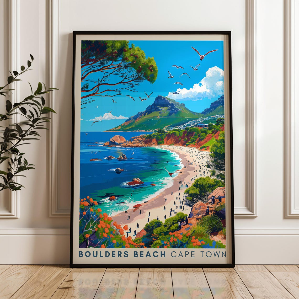 Boulders Beach Cape Town Penguin Colony Turquoise Bay Travel Poster