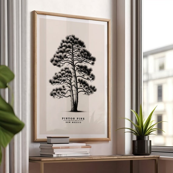 New Mexico State Tree Pinyon Pine Vintage Sketch Tree Poster Tree Print Botanical Art Nature Ink Drawing Gift