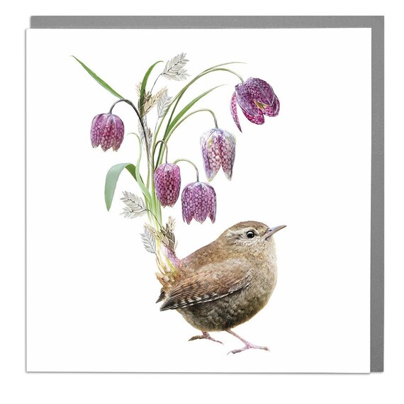 Wren Bird Art Print by Lola Design