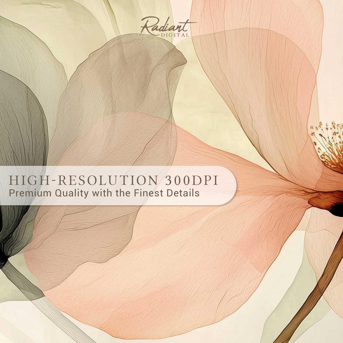 Blush Peach Translucent Anemone Flowers Delicate Botanical Art Print - Image 3
