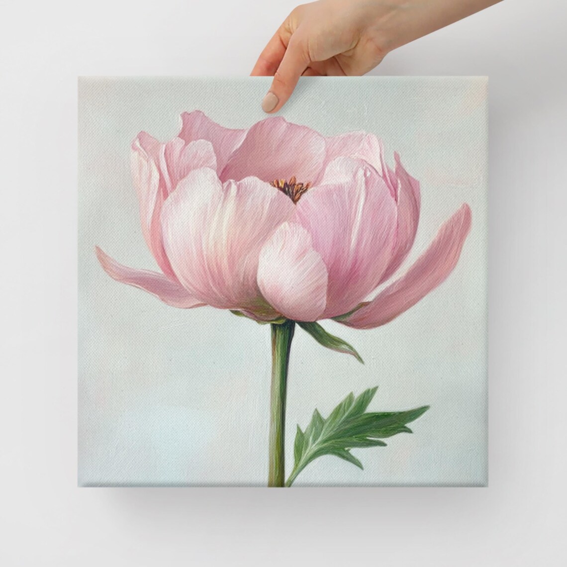 Soft Pink Garden Flower Single Stem Pale Floral Painting Print