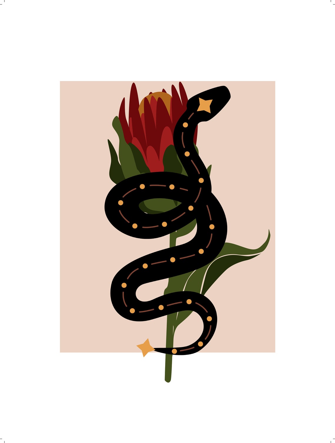 Black Coiled Serpent Protea Flower Boho Botanical Art Poster - Image 2