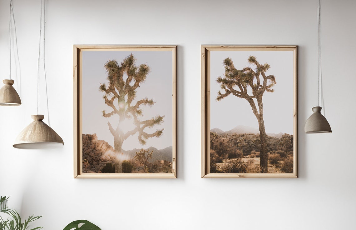 Pair of Joshua Tree Desert Photographs in Natural Light Poster - Image 2