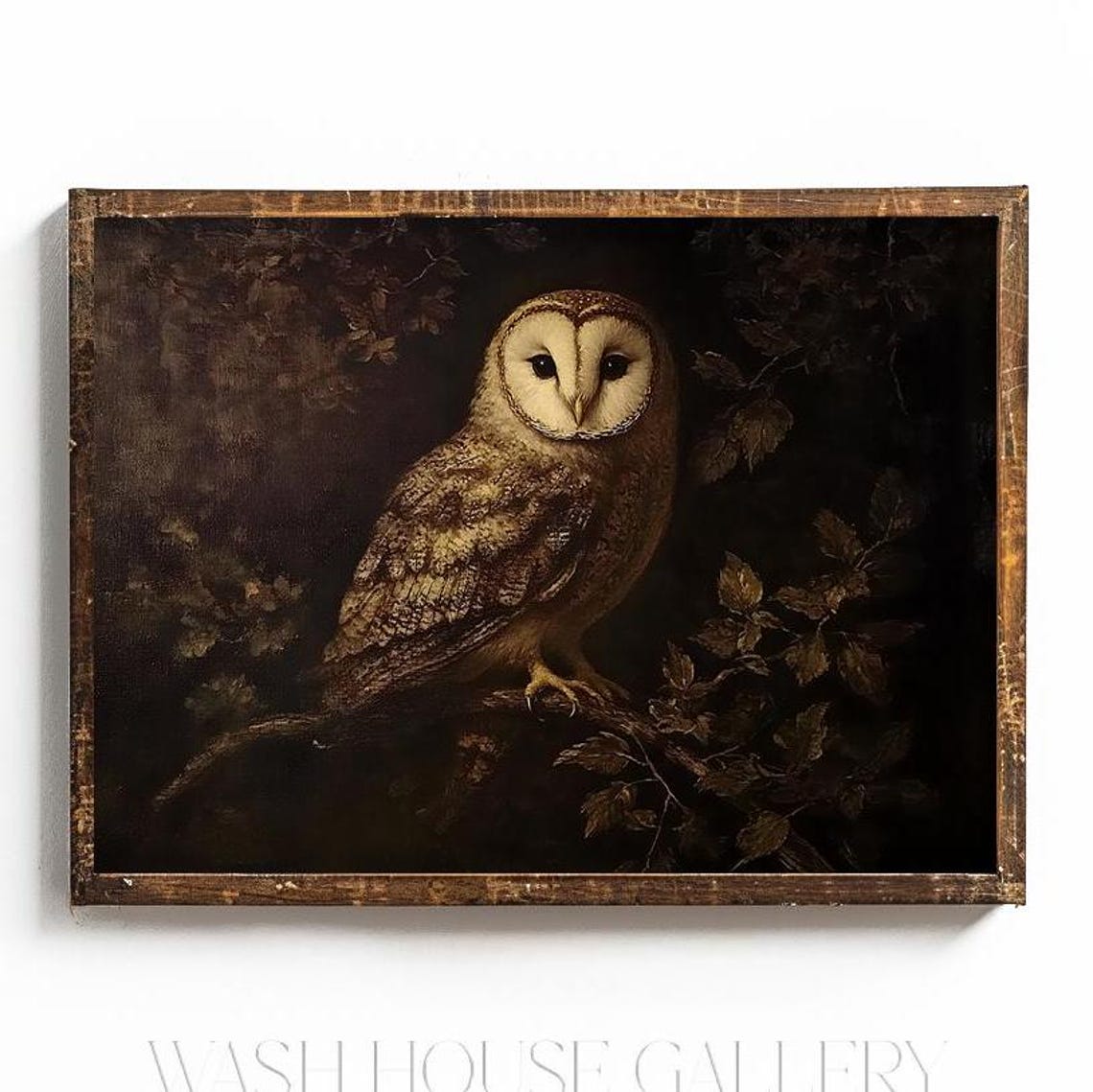 Barn Owl Perched In Dark Foliage Gothic Vintage Bird Art Poster
