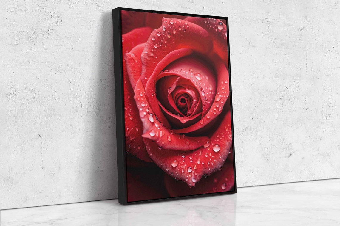 Red Rose Morning Dew Drops Closeup Romantic Floral Photo Poster - Image 4