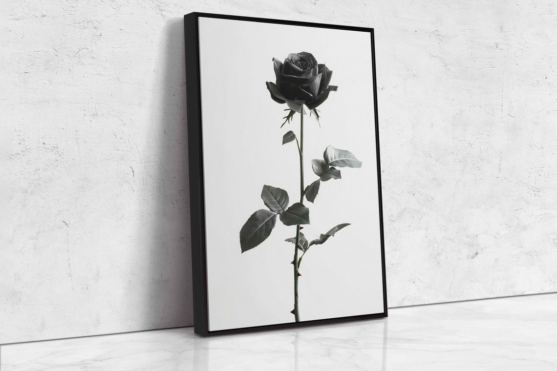 Single Black Rose On White Minimalist Botanical Flower Poster - Image 4