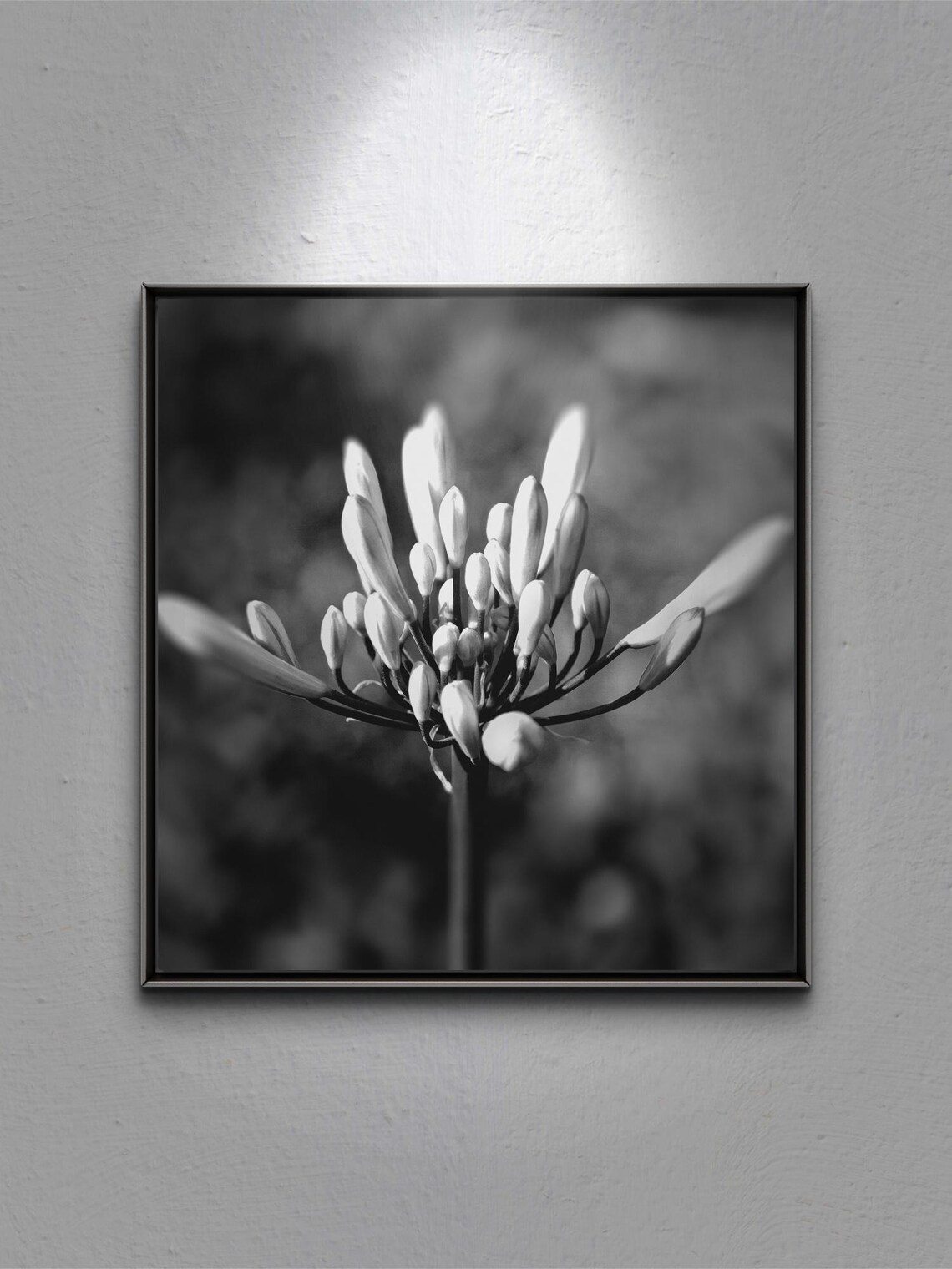Black And White Flower In Bloom Wall Art - Image 2