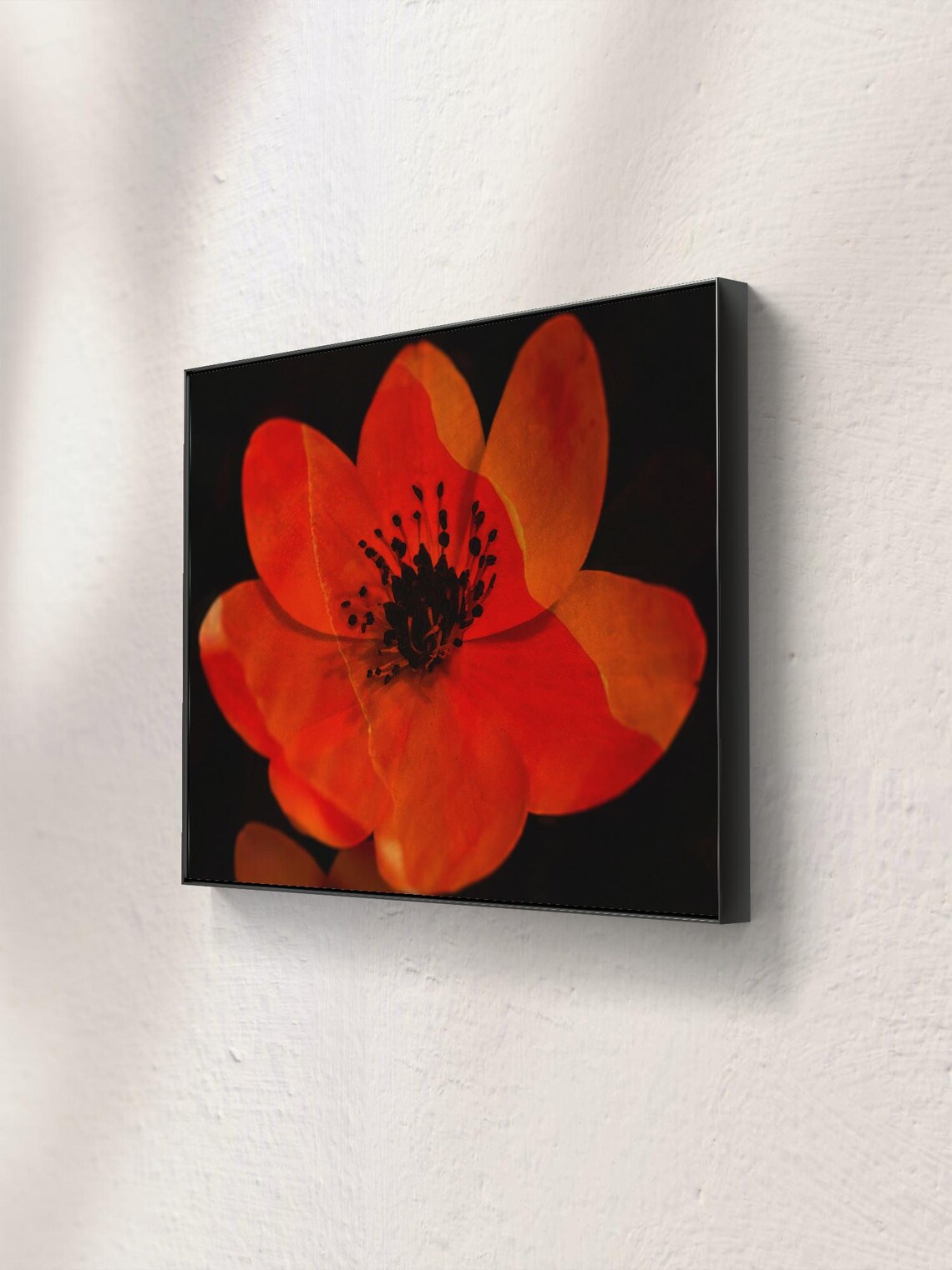 Orange Flower Photograph, Nature Wall Art Print - Image 2