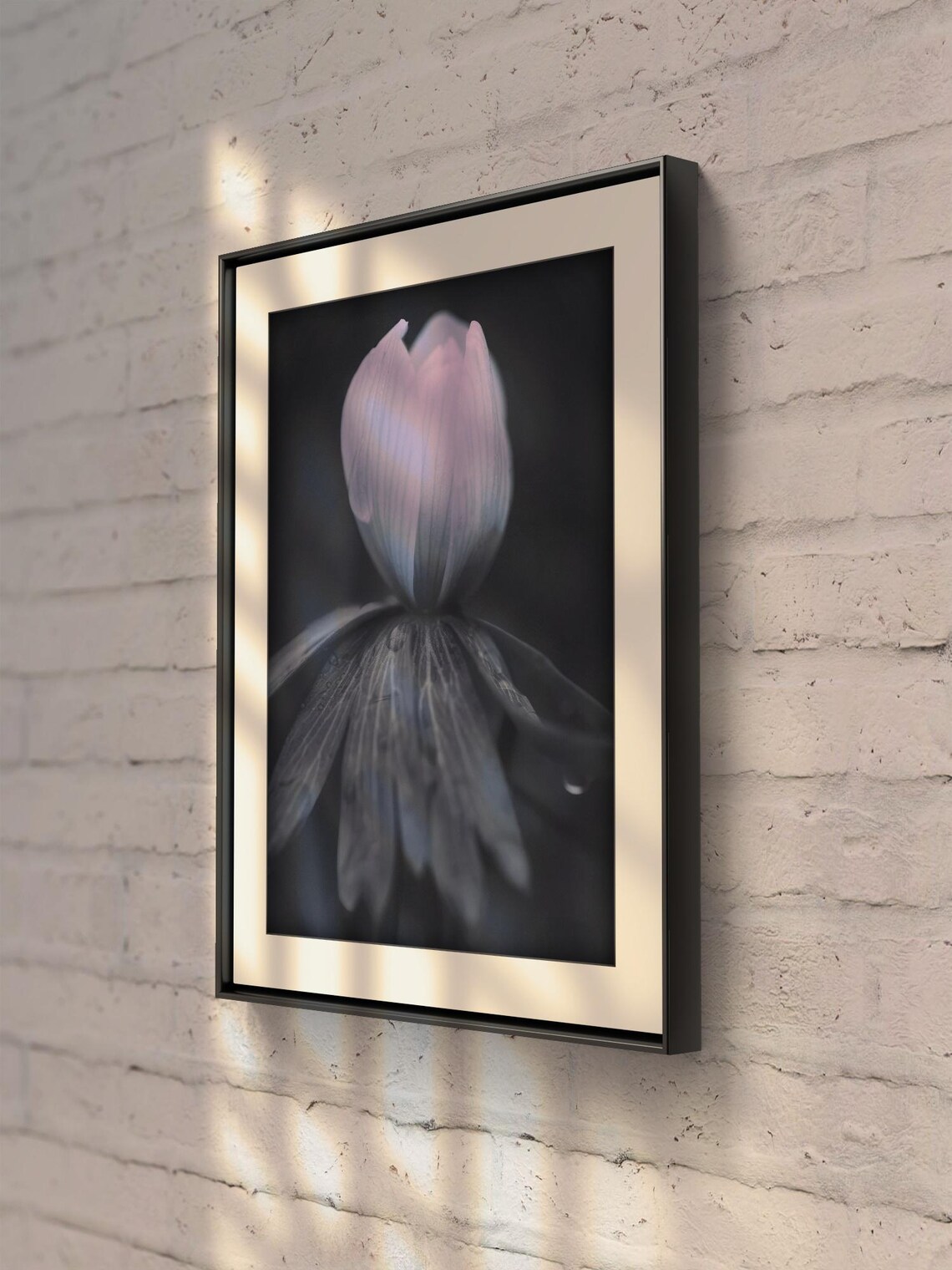 Close Up Flower Photograph, Delicate Petals - Image 2