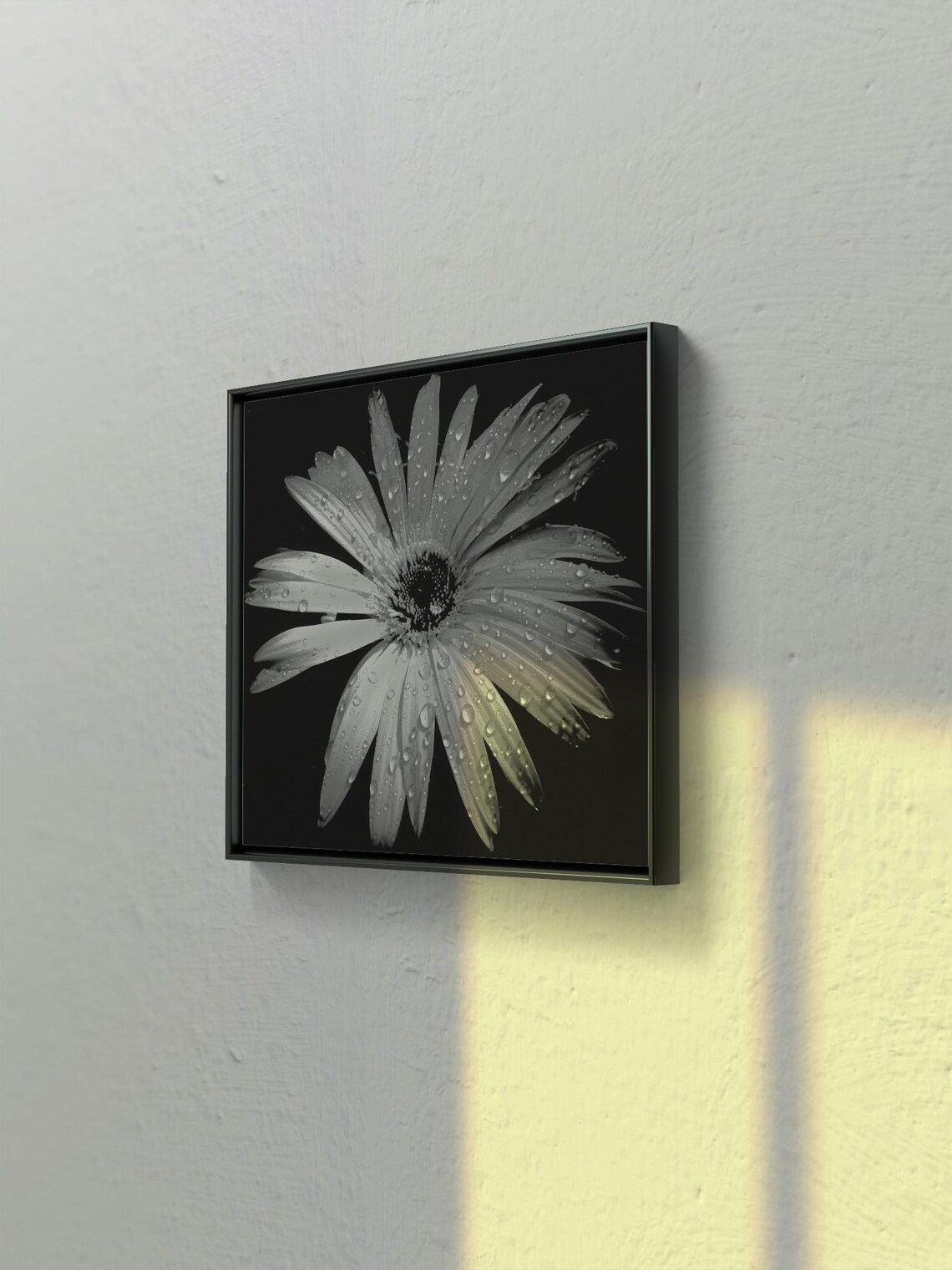 High Energy Black And White Flower With Water Droplets - Image 2