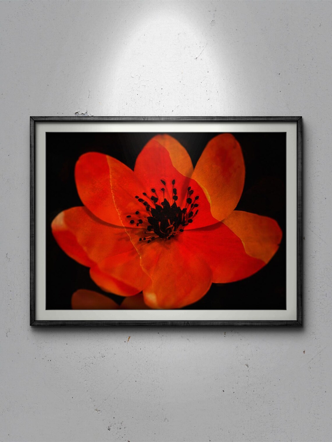 Orange Flower Photograph, Nature Wall Art Print - Image 3