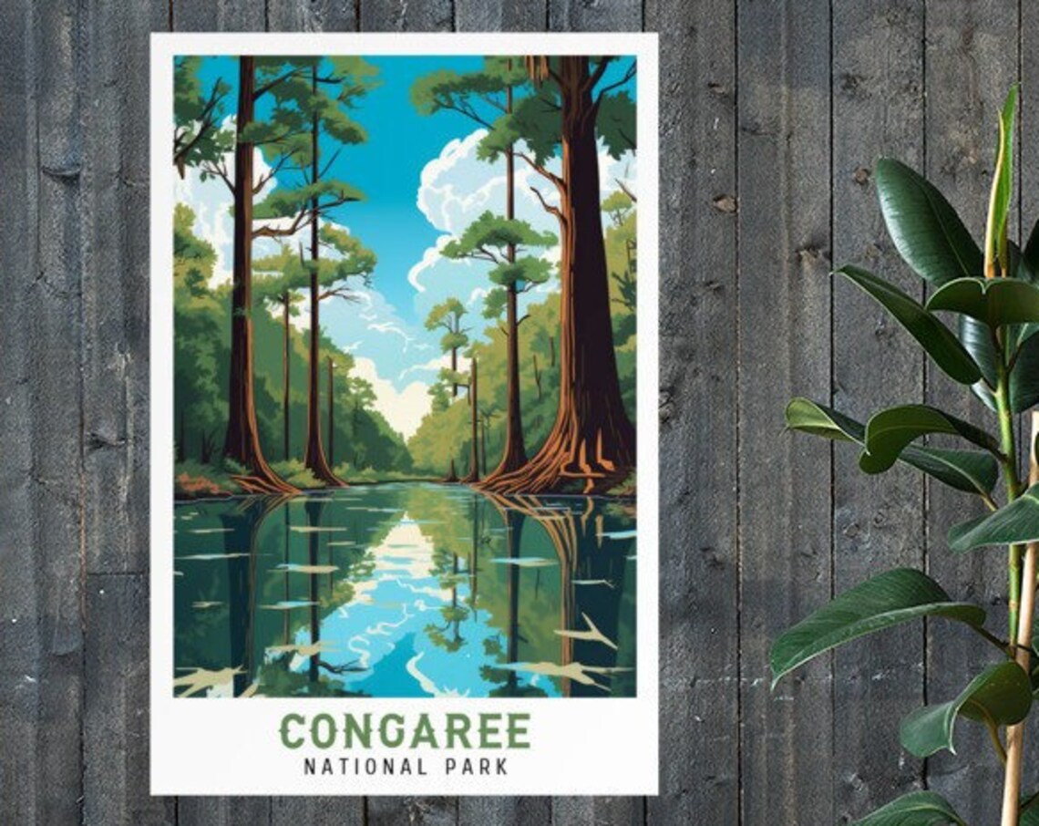 Congaree National Park Old Growth Forest Reflection Vintage Travel Poster