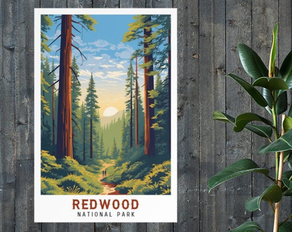Redwood National Park Forest Trail Sunrise Vintage Travel Poster