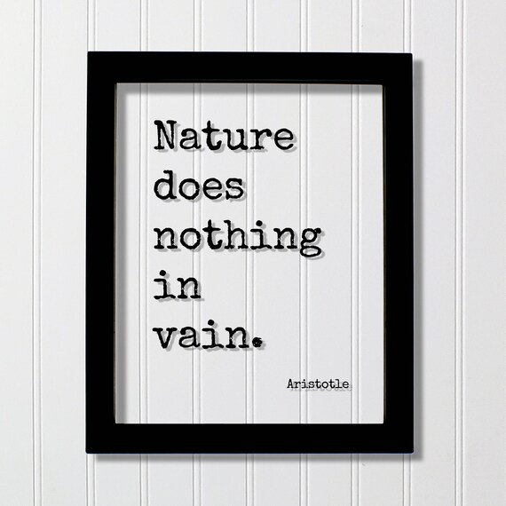 Aristotle Nature Does Nothing in Vain Quote Poster Black Floating Frame Art