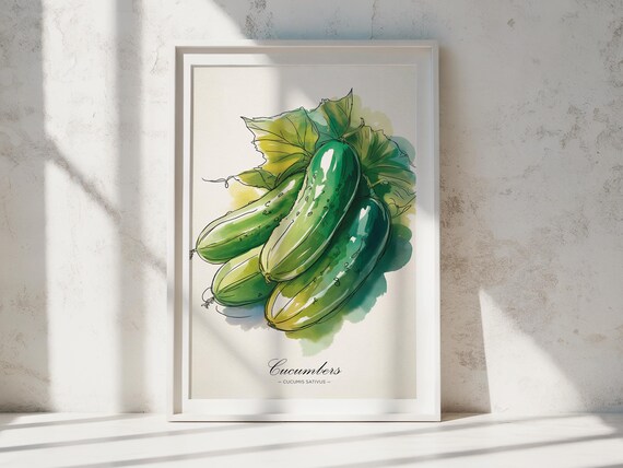 Cucumber Watercolor Print Botanical Kitchen Wall Art
