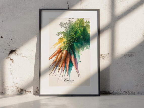 Carrot Watercolor Art Print Botanical Kitchen Wall Decor