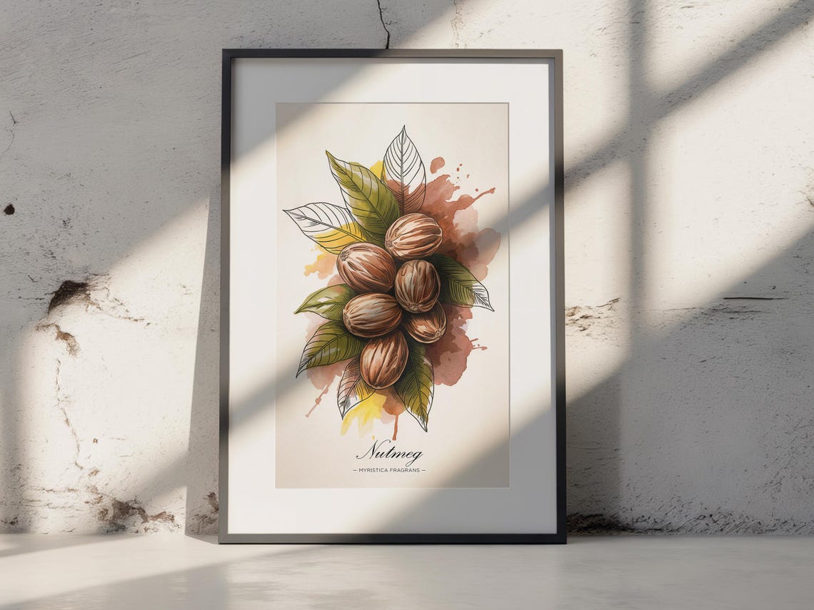 Nutmeg Spice Watercolor Botanical Art Print for Kitchen Decor