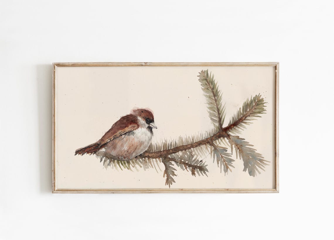 Winter Sparrow Watercolor Pine Branch Delicate Bird Art Poster - Image 4
