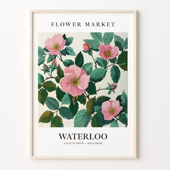 Waterloo Iowa Wild Rose Botanical Flower Market Art Lovely Antique Poster