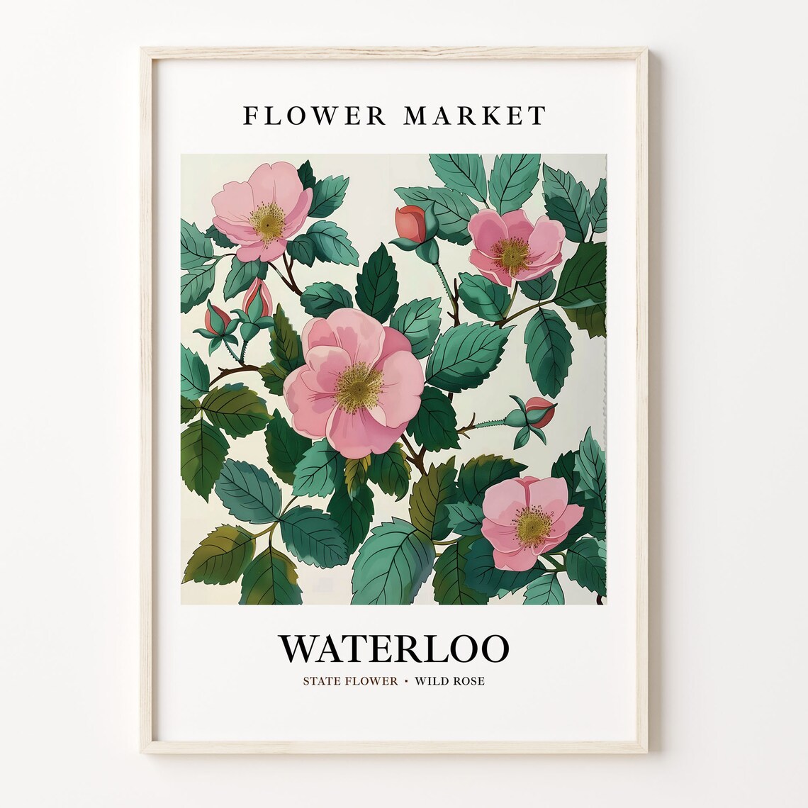 Waterloo Iowa Wild Rose Botanical Flower Market Art Lovely Antique Poster