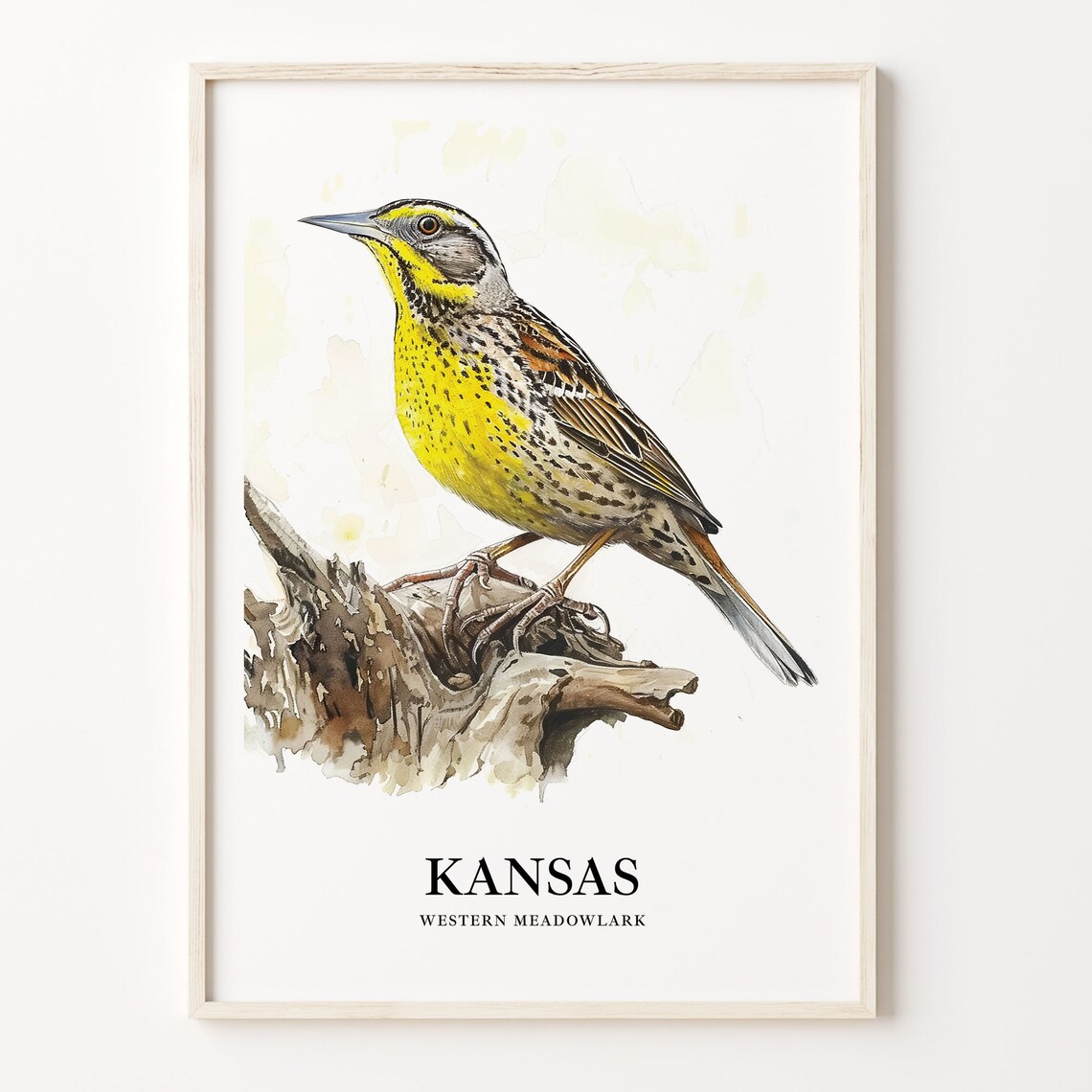 Kansas Western Meadowlark Songbird Watercolor Bird Art Poster