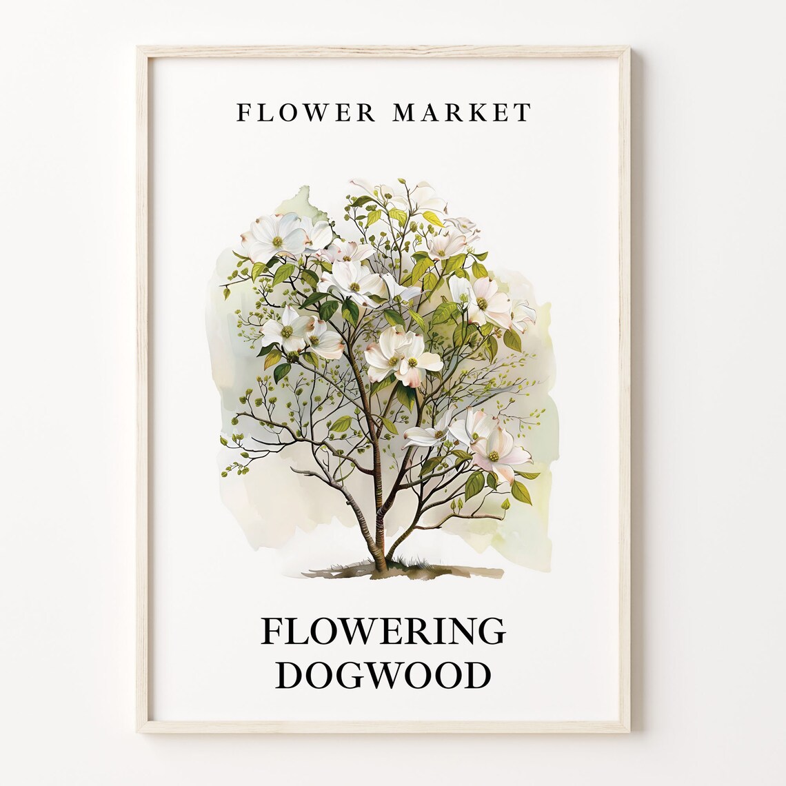Flowering Dogwood Flower Market White Blossom Watercolor Poster