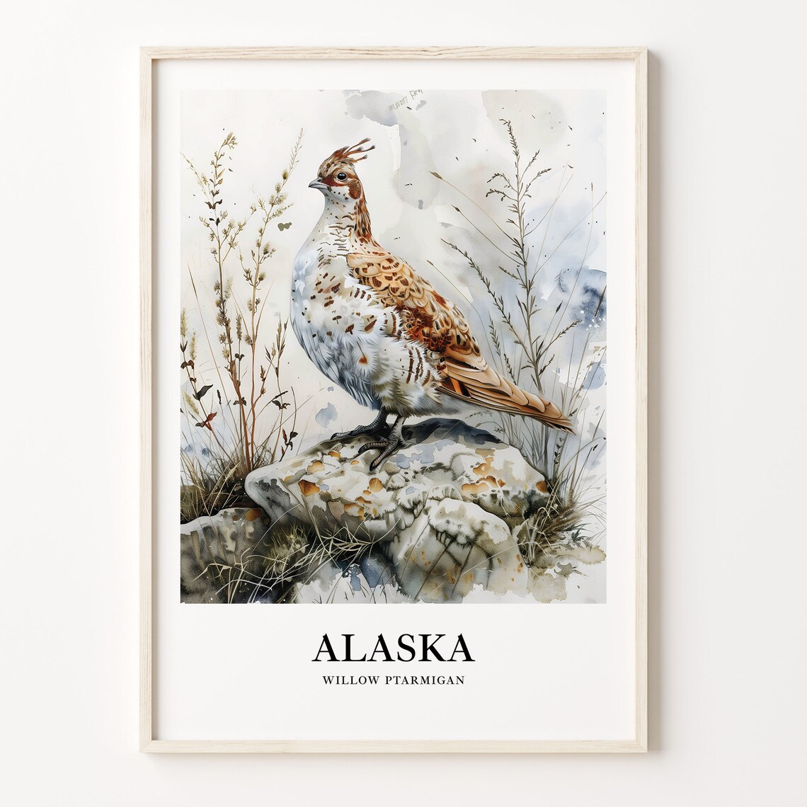Arctic Alaska Willow Ptarmigan Watercolor Bird Illustration Poster