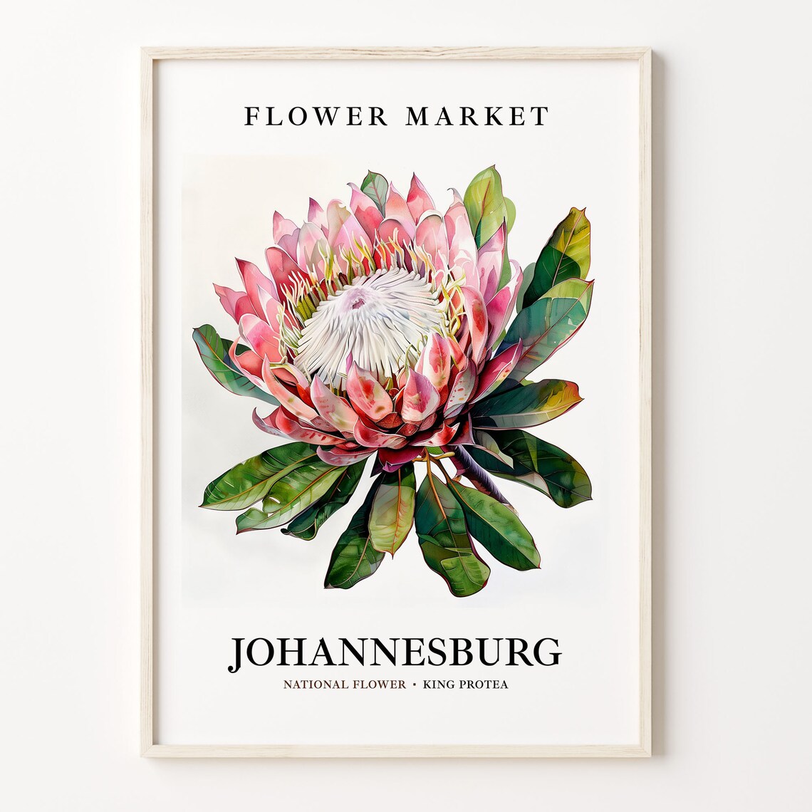 Johannesburg Flower Market Art Print, South Africa
