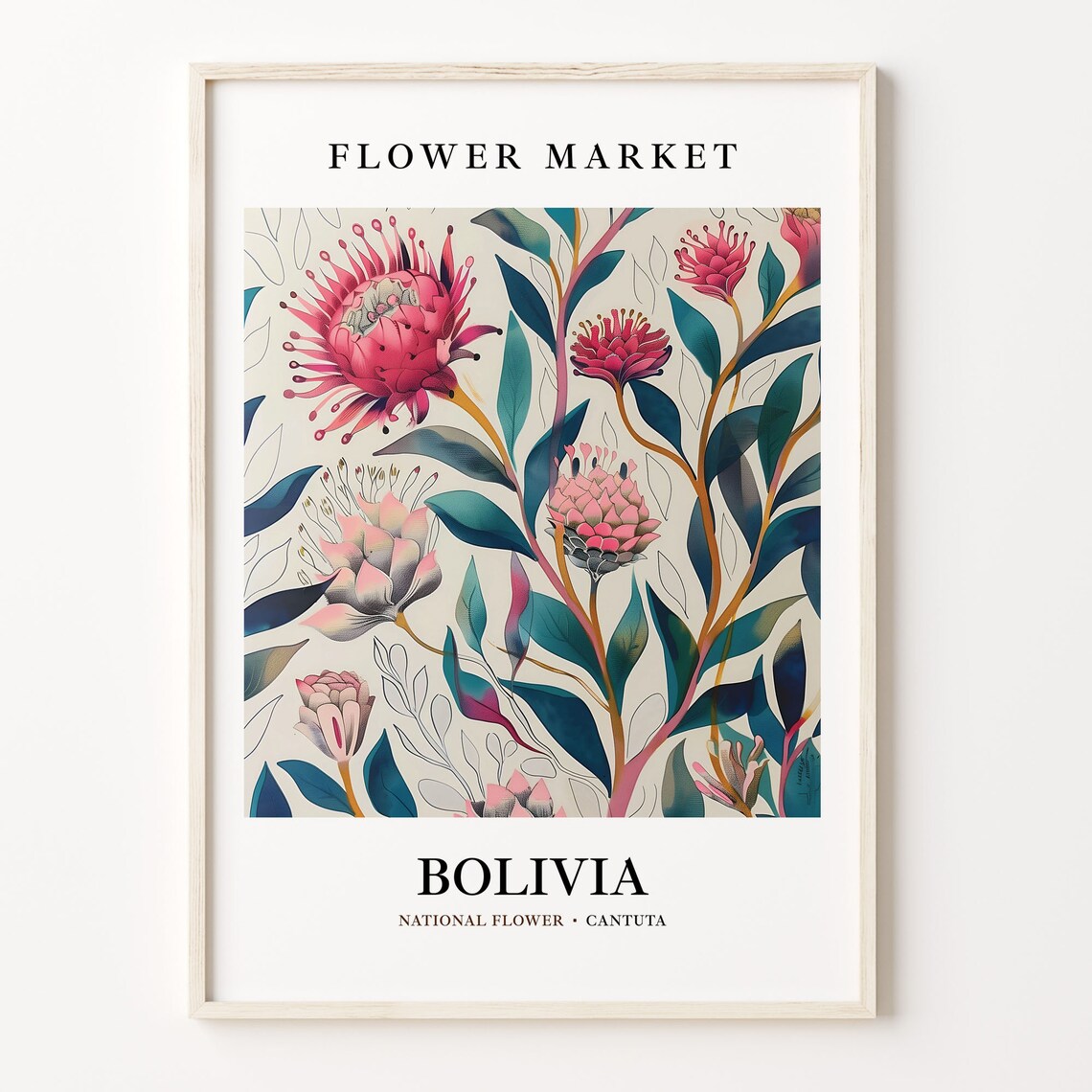 Cantuta National Flower, 1960s Botanical Art Print