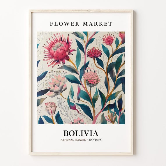 Cantuta National Flower, 1960s Botanical Art Print