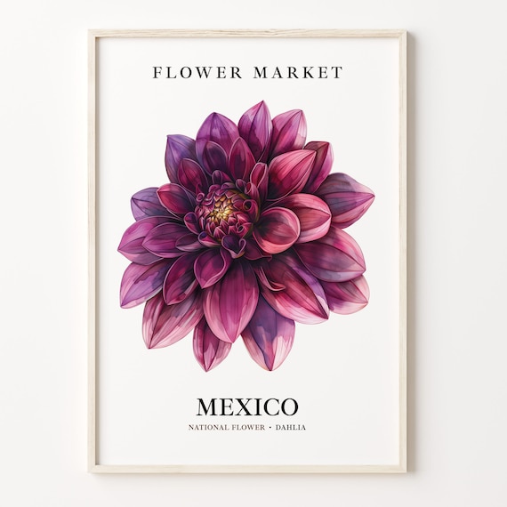 Dahlia Neutral Botanical Art Print, 1960s Mexico