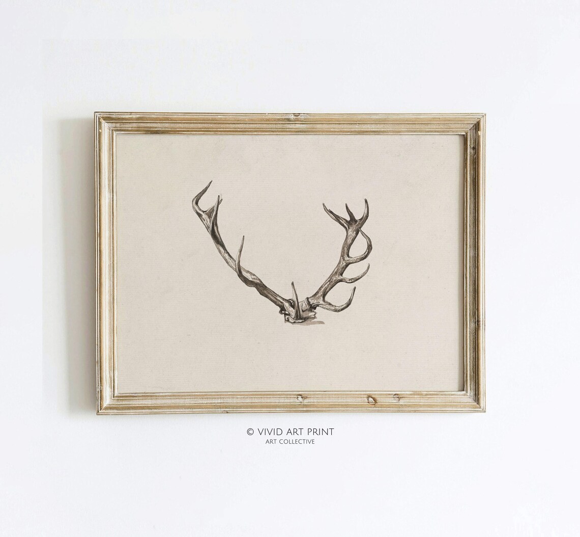 Rustic Antler Vintage Farmhouse Wildlife Art Print