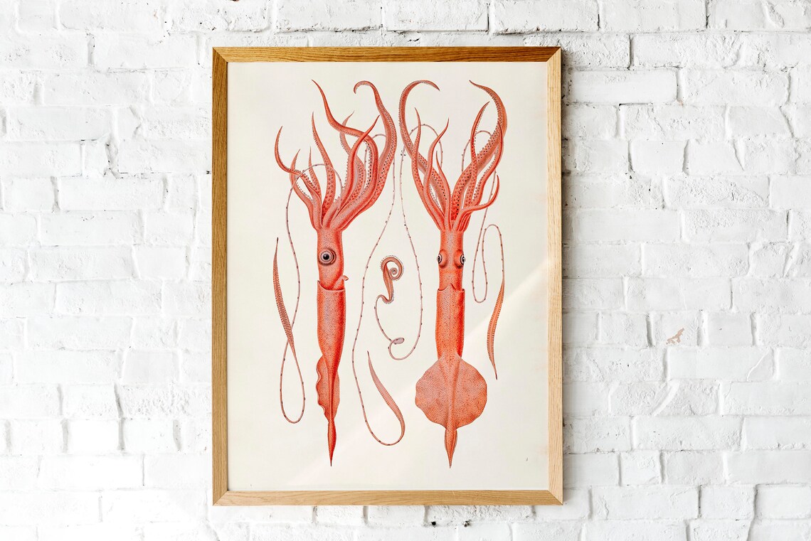 Set Of Five Squid Octopus Vintage Nautical Illustration Printables Instant - Image 2