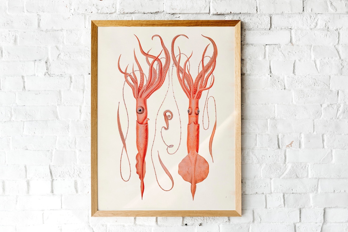 Vintage Nautical Marine Life Set Of Five Squid Starfish Wall Poster - Image 2
