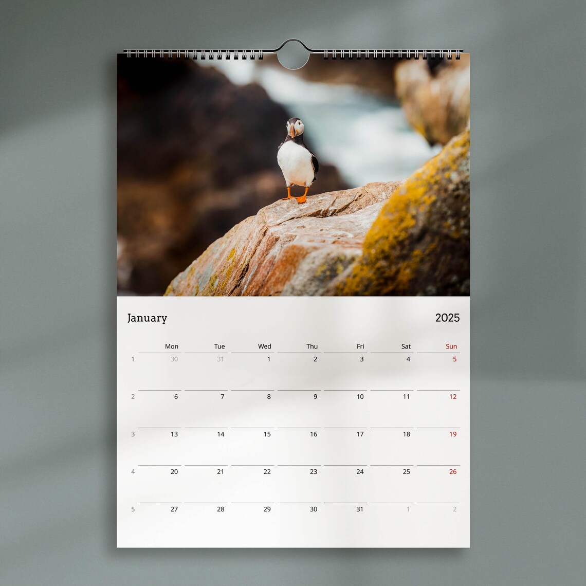 Puffin Wildlife Calendar, Bird Art Poster Print - Image 3