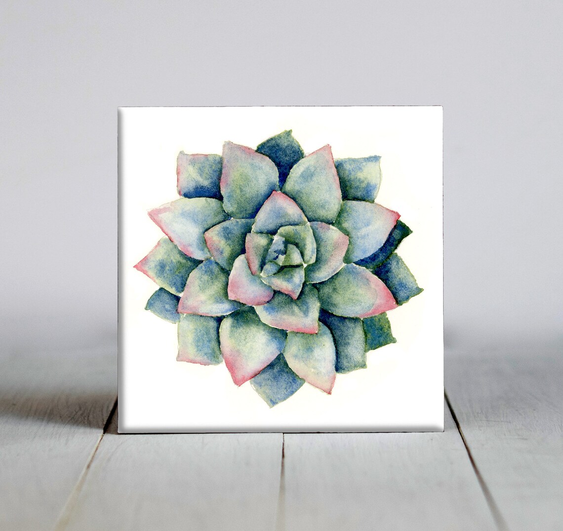 Succulent Ceramic Tile Art Print, Plant Lover Gift